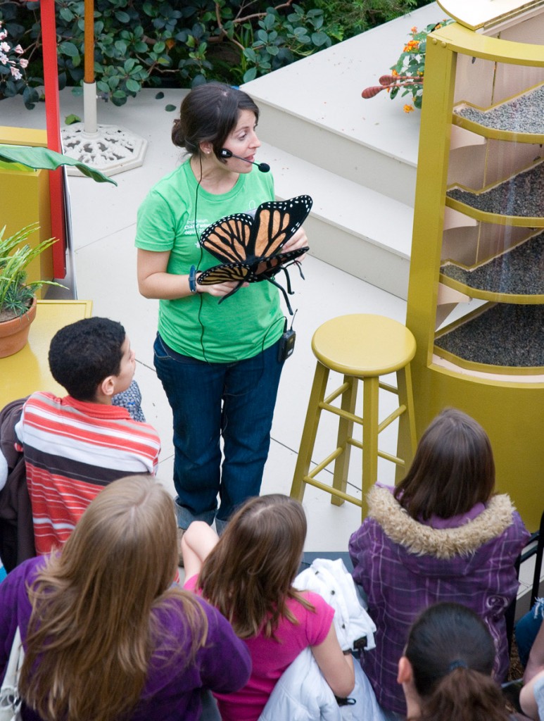 insectarium