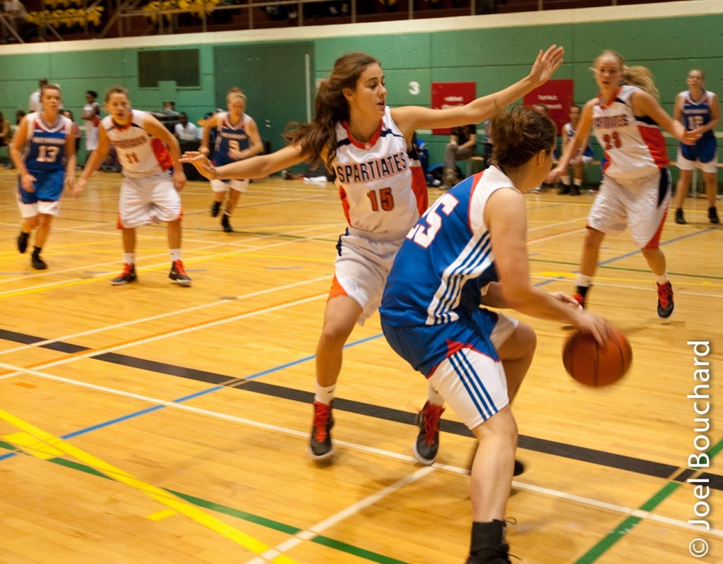 basket