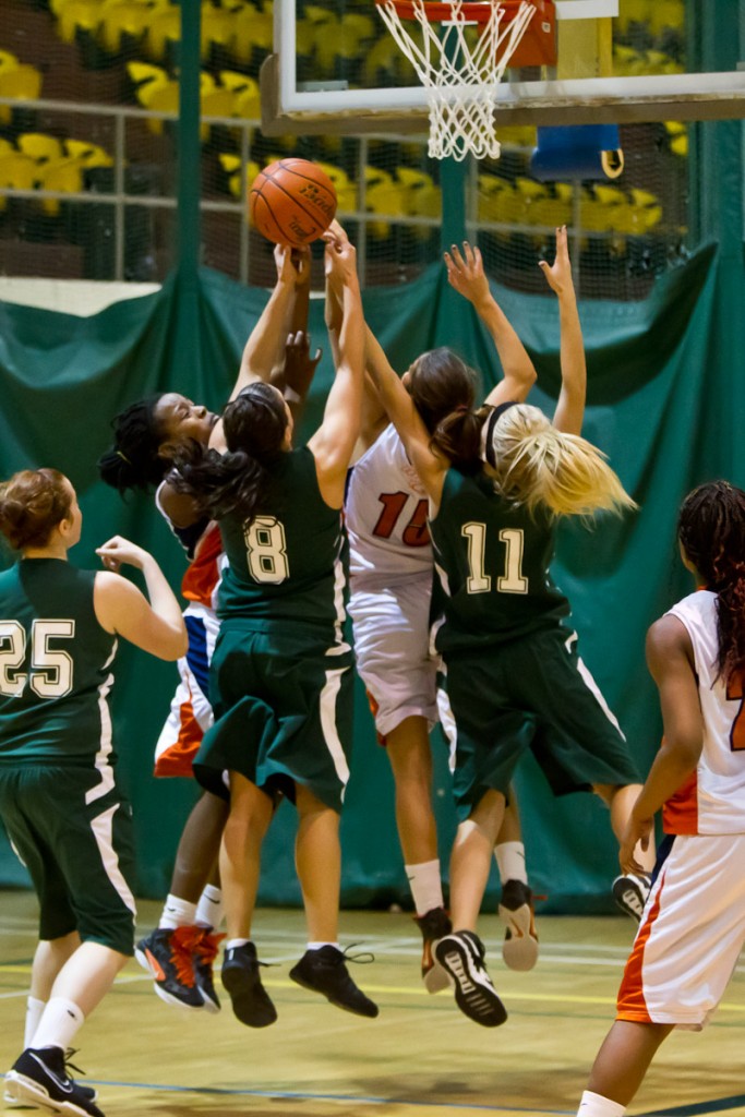 basket.FMercier6
